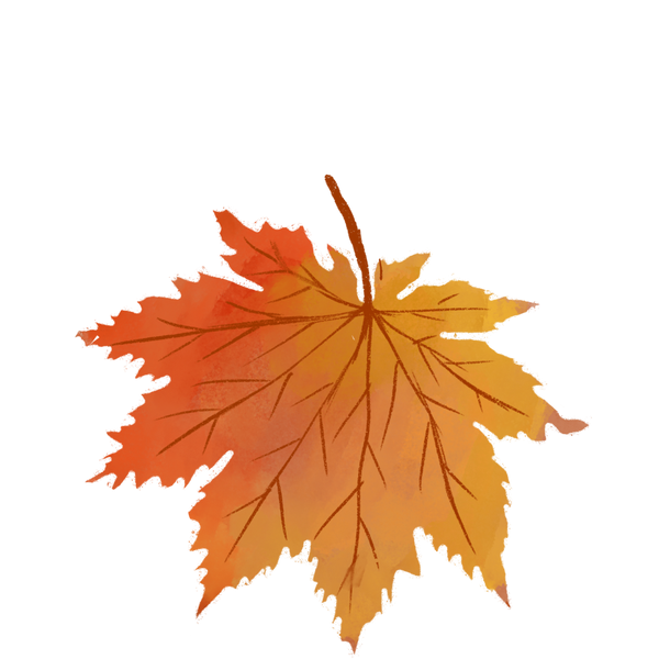 Shop The Fall Collection